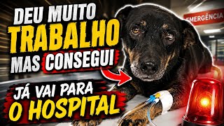 O fim do sofrimento chegou