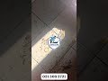 A professional pest control enterprise providing residential and commercial sanitation solutions.