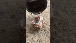 Turning Scrap Aluminum Into Snail Shell Castings | DIY Metal Art