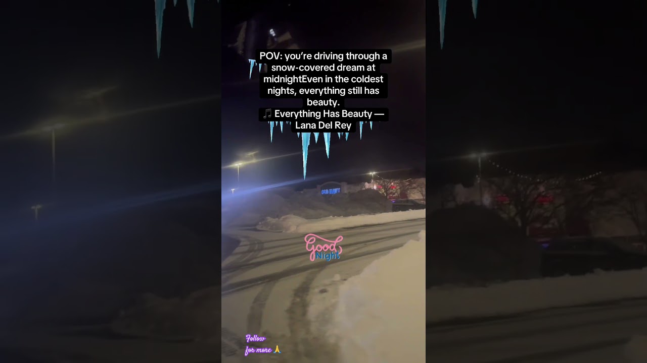 POV Snowy Night Drive | Relaxing Winter Aesthetic ❄️🚗