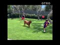 Messi jugando fútbol con su hijo y el perro