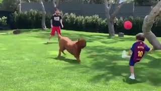 Messi jugando fútbol con su hijo y el perro