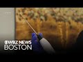 Doctors hope cryoablation can be a less invasive alternative to dealing with breast cancer tumors