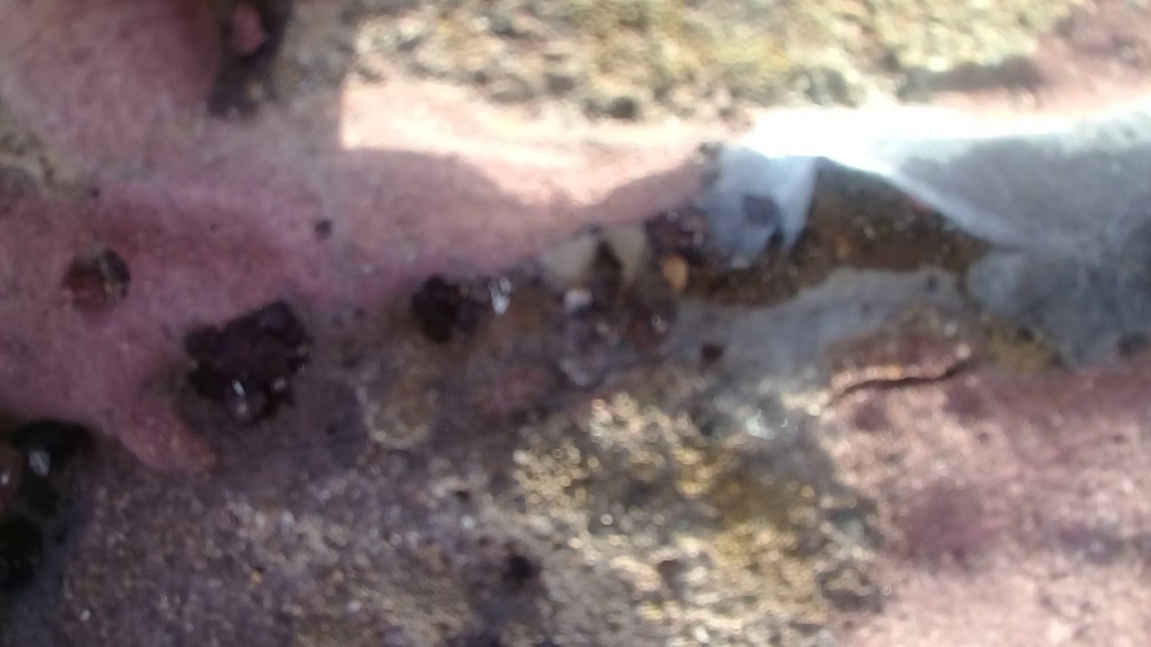 Toxic substance, light black color ... come on ... rust ... but ... its ...