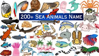 List of 200+ Sea Animals - Sea animals for kids \/ Learn aquatic animals name in english - Sea animal