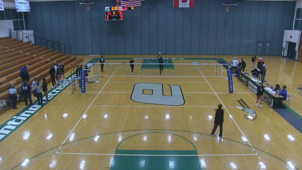 Volleyball vs YouTube