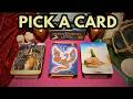 Pick-a-card! ✨✨