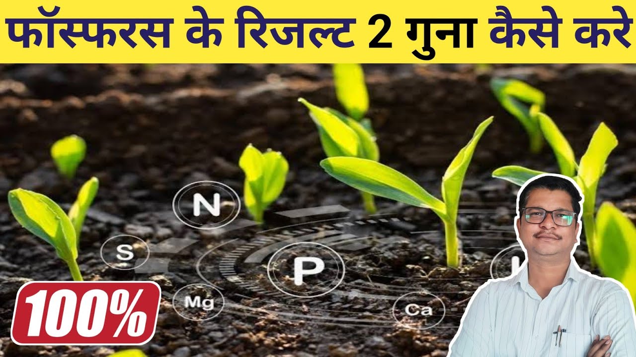 कोई नही बताएगा फॅास्फरस के 2 गुना रिजल्ट कैसे पाए 😳