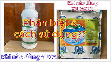 YUCA & YUCAZEO Giống Nhau Hay Khác Nhau? Sử Dụng 2 Loại Này Trong Trường Hợp Nào?