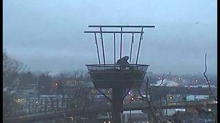 20151224 lafarge 0758am 4min30sec