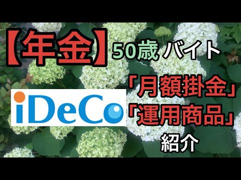 【年金】50歳バイト「iDeCo」の「月額掛金」と「運用商品」紹介