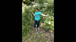 WP 20140531 018