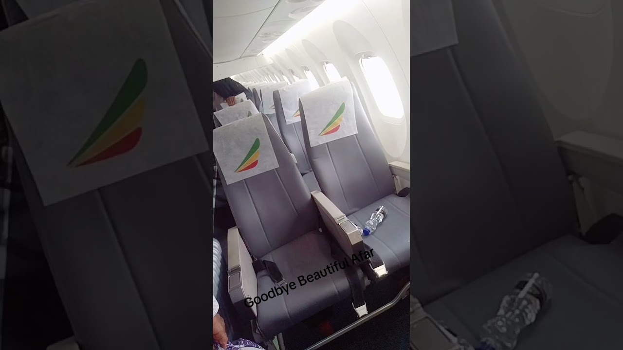 Netsanet Lealem-Ethiopia  #afar #viral #trending #usa #ethiopia #ethiopianmusic #habesha #music 