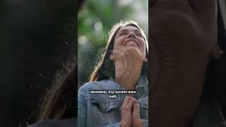 KUYRUK SOKUMU HACAMAT'ININ FAYDALARI