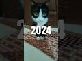 Recap 2024 Happy New Year 2025 Recap 2024 Happy New Year 2025