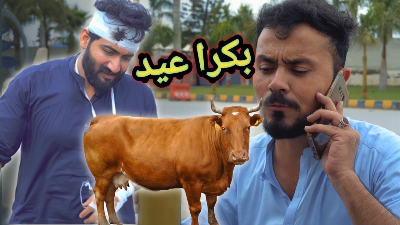 Pashto New Funny Video by KP Vynz | Bakra Eid
