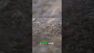 They're ALL Fighting For It! Absolutely Insane!