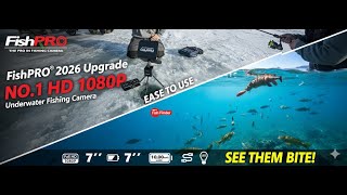 What Your Fishing Guide Isn t Telling You About FishPRO 2026 Upgrade
