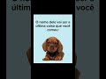 Qual o nome dele? #shorts #memes #humor #trending