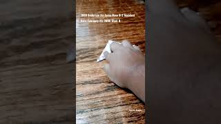 2008 Andersen Air Force Base B-2 Spirit Accident