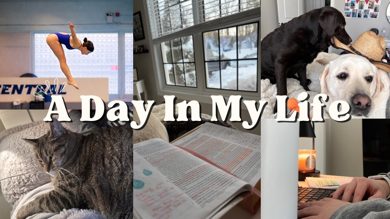 Realistic Day in the Life of a Student Athlete