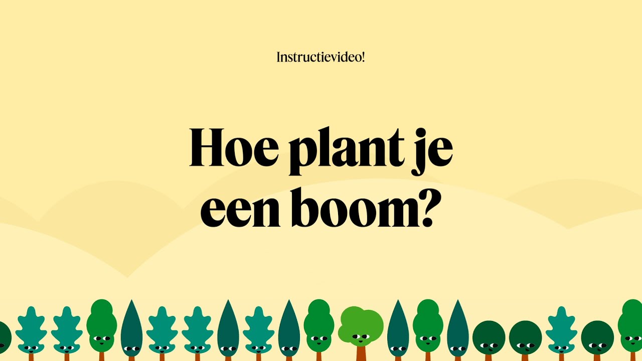 Instructievideo: Hoe plant je een boom? - YouTube