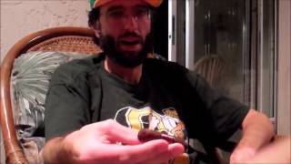Quorum Maduro Robusto cigar review