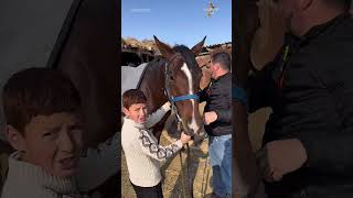 19 Ноября 2025 Г.