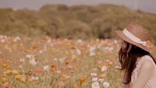 You Don't Have To Say You Love Me - Giovanni Marradi