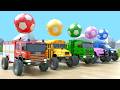 Les roues du bus – Chansons pour bébés – Ballons de football colorés – Comptines et chansons pour