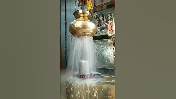 Shiv shiv shiv shambhu Mahadev shambhu status video#mahadev