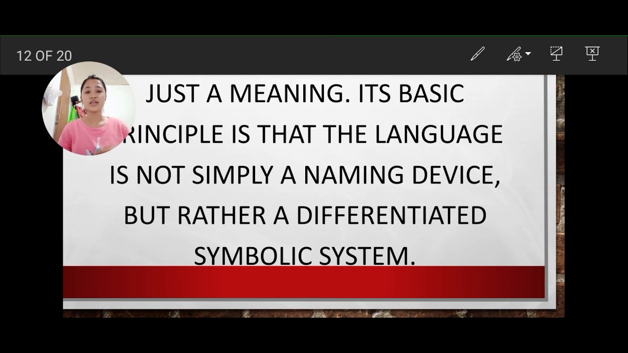 COMMUNICATION AND THE VISUAL—Visual Saturation, Images as Signs, Images and Meanings