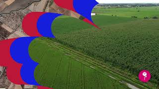 Terreno de 7 Hectáreas