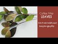 Coffee Filter - Paper Leaves