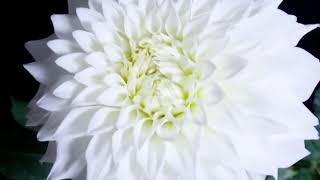 Joyce Indire Bwana Na Official Music Audio