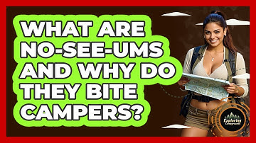 What Are No-see-ums And Why Do They Bite Campers? - Exploring Campgrounds