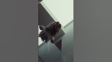 Thumbnail of Katelyn Tarver – Starting To Scare Me