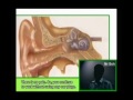 Noise Induced Deafness Prevention Programme