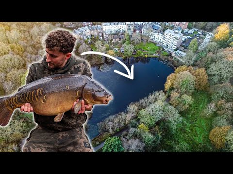 THE BIG MIRROR - London Park Lake In Winter