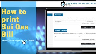 How to print duplicate Sui Gas Bill screenshot 4