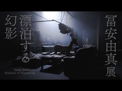 KAAT EXHIBITION 2020「冨安由真展｜漂泊する幻影」アーカイブ映像