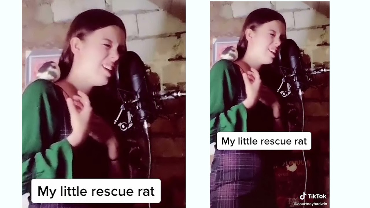 Courtney Hadwin  I dare you to watch without smiling