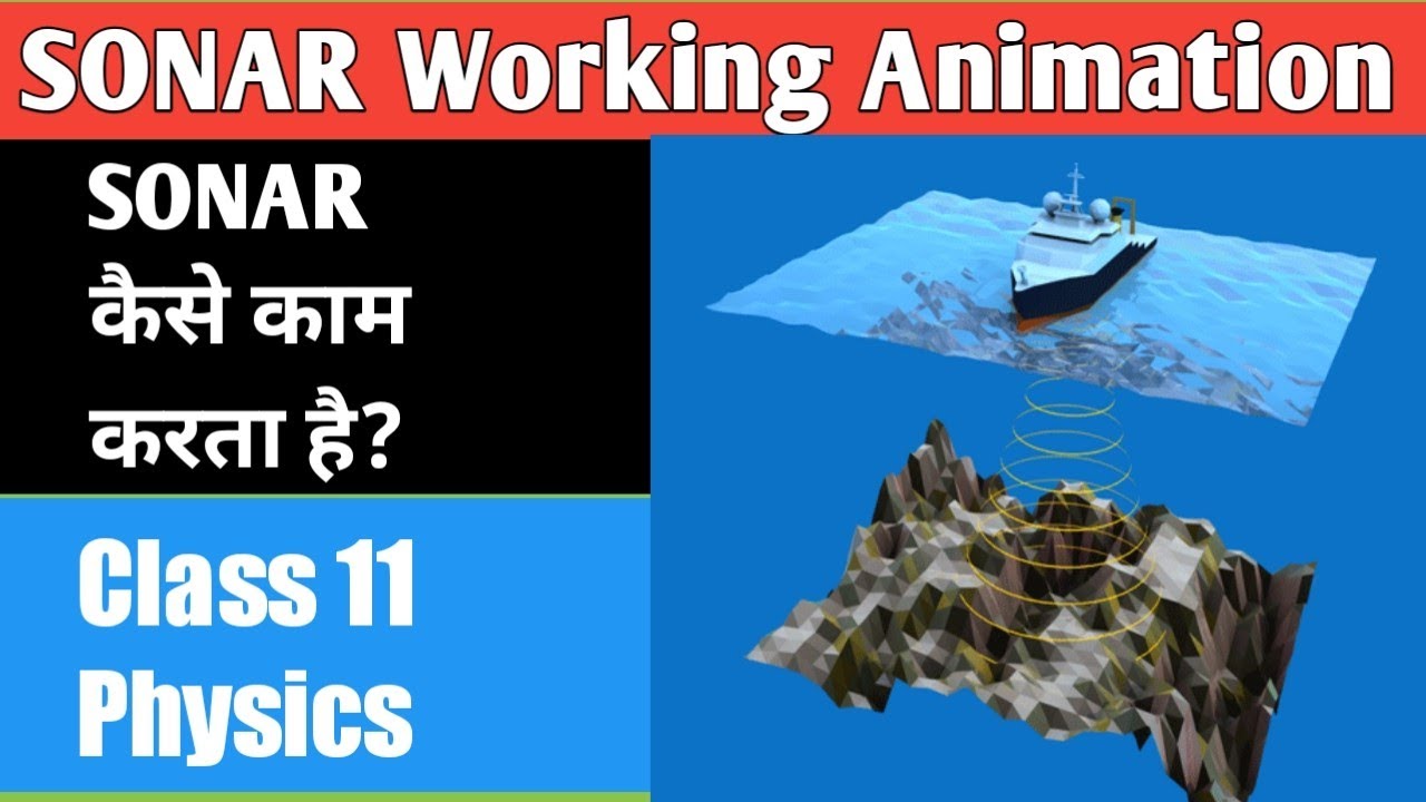 What is Sonar? || How does it works || सोनार क्या है? सोनार काम कैसे करता है? || In hindi