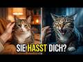 Deine Katze hasst dich? Du verstehst sie falsch…