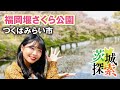 【茨城探索】福岡堰さくら公園。小貝川沿いの桜の名所です。これから八重桜も楽しめると思います。【つくばみらい市】【vlog】