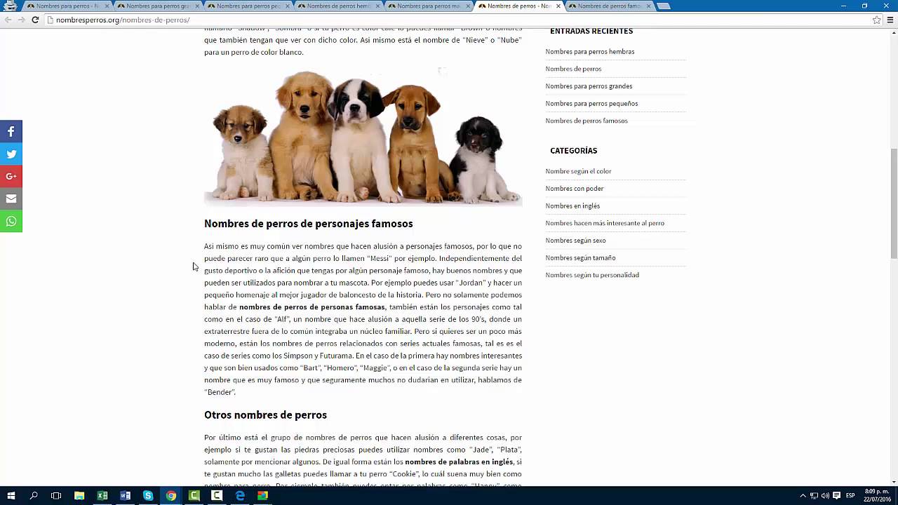 Nombres para perros - YouTube