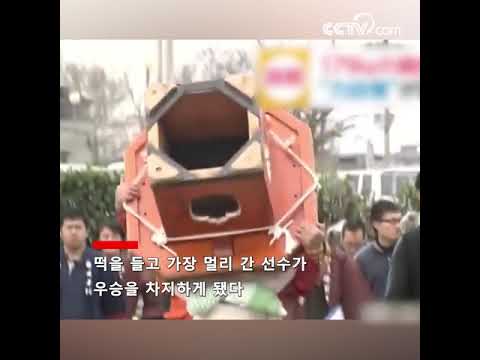 일본서 떡 운반대회 열어, 우승자 180kg의 떡을 들고 행진 | CCTV 한국어방송