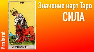 VIII Старший аркан СИЛА 🌟 🦁Значение прямой и перевернутой карты 🌟🦁Значение карт Таро #таро