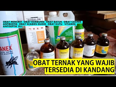 Video: A.S. Membatasi Beberapa Antibiotik Di Peternakan