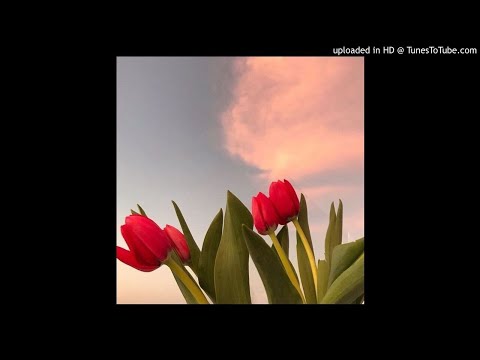 haroinfather x fatboibari x $not type beat "sad scenery" | Free Wavy Trap Instrumental 2020